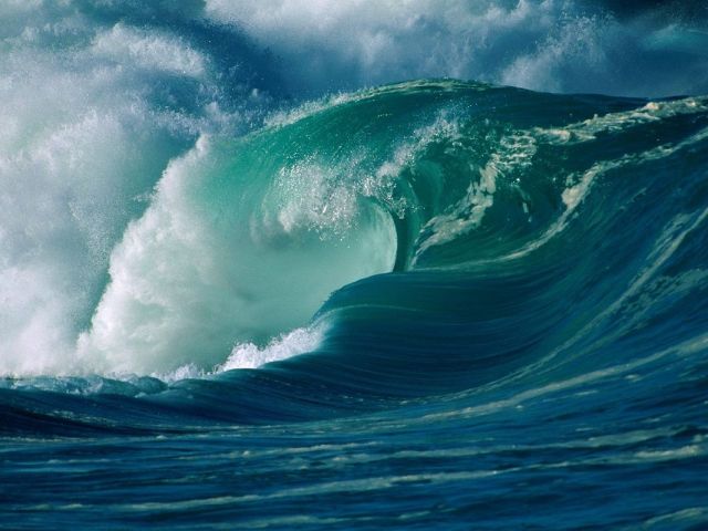 Image result for trumpets of the ocean