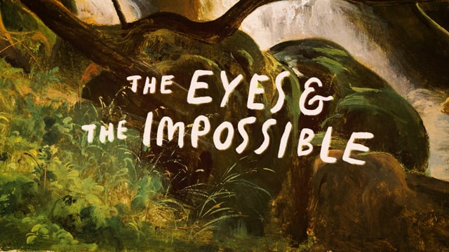 THE EYES & THE IMPOSSIBLE / Dave Eggers book promo on Vimeo