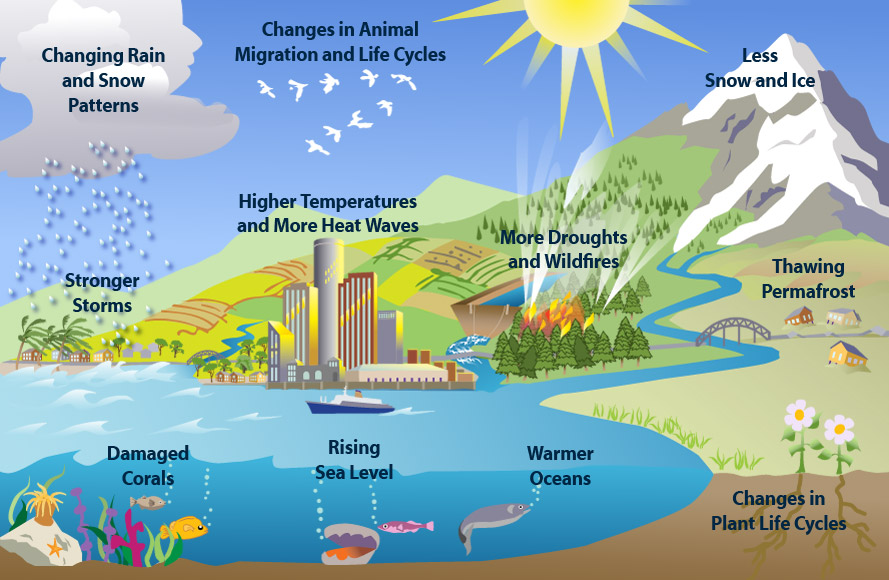 Image result for climate changes
